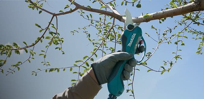 Blauwe makita tuinschaar welke een tak door knip in de openlucht